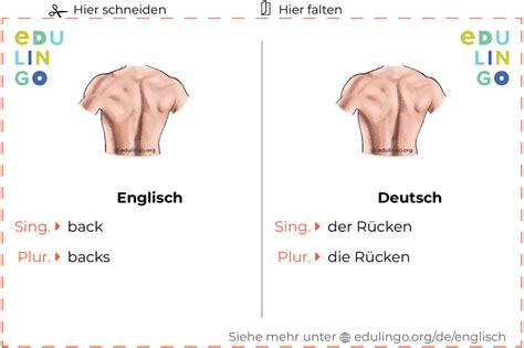 rücken englisch|rücken in English